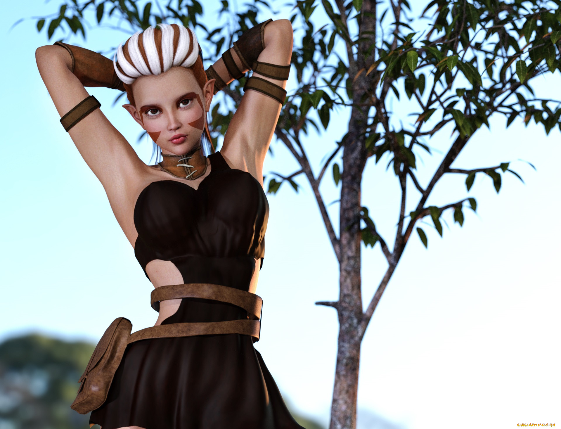 3 ,  , elves, , , 
